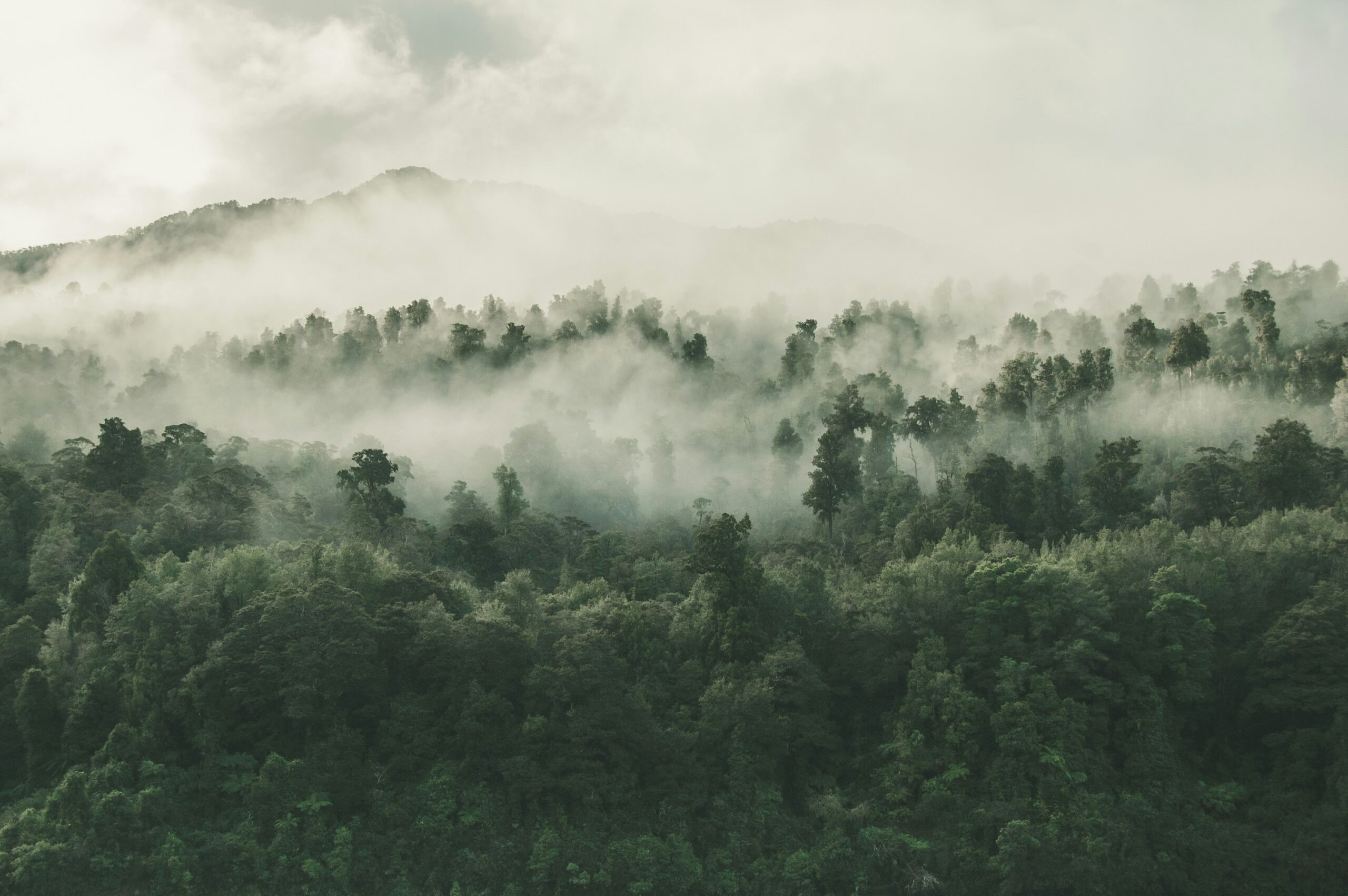 Hello World Featured Image